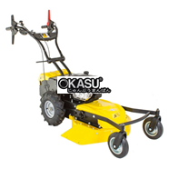 Máy cắt cỏ 4 bánh chuyên nghiệp Roques et Lecoeur RL 210 RL