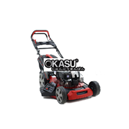 Máy cắt cỏ bán chuyên nghiệp Harry HR 5500 SBQ