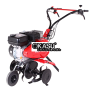 Máy xới đất chuyên nghiệp Pubert Terro 55 P C3