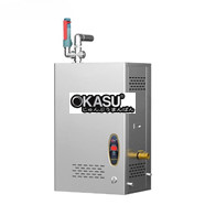 Máy tạo hơi nước gas treo tường CHINENG CN-DC-B-RZQ-70T / CN-DC-B-RZQ-70Y