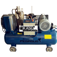 Máy nén khí trục vít Pegasus TMTV-10A
