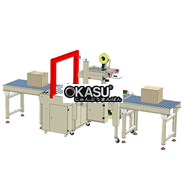 Dây chuyền đóng gói thùng carton sóng AS523C