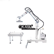 Robot xếp pallet tự động HPR-25  