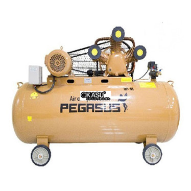 may nen khi pegasus tm-w-0.9/8-500l hinh 1