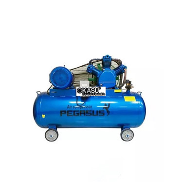 may nen khi pegasus tm-v-1.05/12.5-500l hinh 1