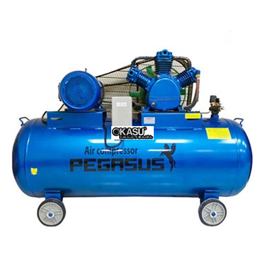 may nen khi pegasus tm-w-1.0/8-500l hinh 1