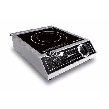 bep dien tu don mantrue zt-c335a hinh 1