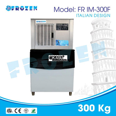 may lam da vay frozen fr im-300f hinh 1