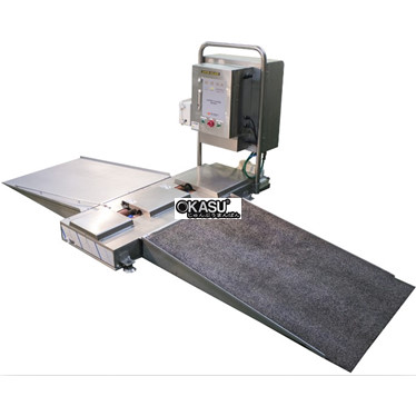 he thong lam sach banh xe day tu dong ds-200sb-r hinh 1