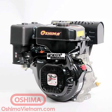 dong co chay xang 11hp oshima os180f-c hinh 1