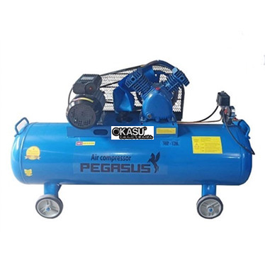 may nen khi cong nghiep piston pegasus tm-v-0.25/12.5-120l hinh 1