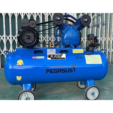 may nen khi cong nghiep piston pegasus tm-v-0.17/8-70l hinh 1