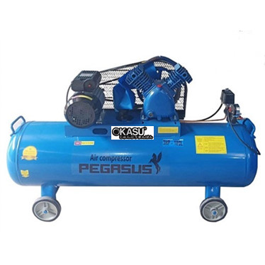 may nen khi pegasus tm-v-0.25/12.5-180l hinh 1