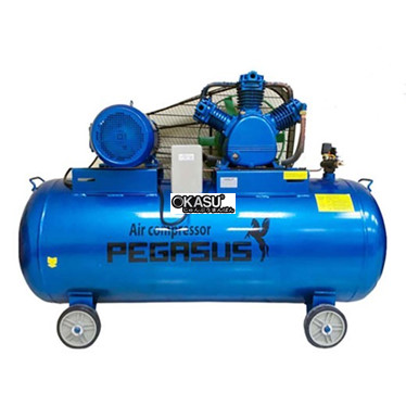 may nen khi piston day dai pegasus tm-w-2.0/12.5-500l hinh 1