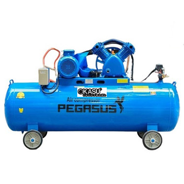 may nen khi pegasus tm-v-0.6/8-330l hinh 1