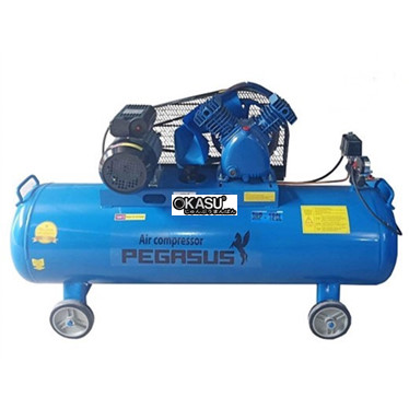 may nen khi pegasus tm-v-0.25/8-180l hinh 1
