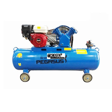 may nen khi piston dau no chay xang pegasus tm-v-0.25/8-100l hinh 1