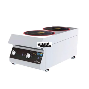 bep dien tu doi lestov lt-b300ii-b105 hinh 1