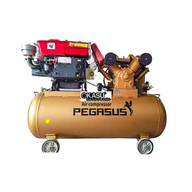 may nen khi dau no pegasus tm-w-1.6/8-500l hinh 1