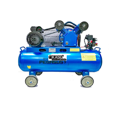 may nen khi day dai pegasus 3hp 120l tm-v-0.25/8-120l 380v hinh 1