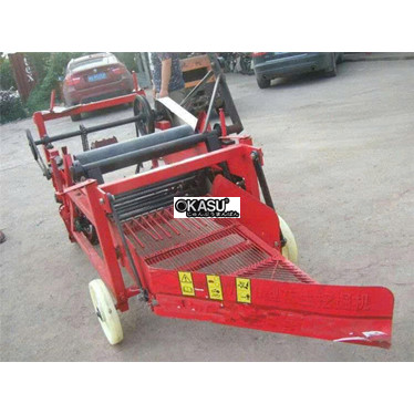 gian thu hoach dau phong dang vuong gan may cay scm hinh 1