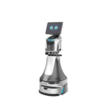 robot dich vu ai greetingbot nova hinh 1