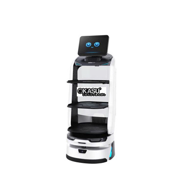 robot giao hang ai the he moi luckibot pro hinh 1