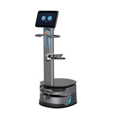 robot hau can orionstar hinh 1