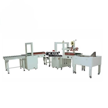 day chuyen dan thung carton co dong dai 2 lan mk-aplcss03 hinh 1