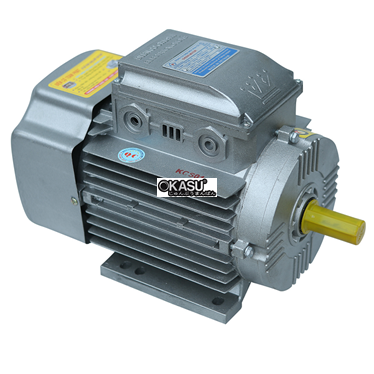 dong co dien cheshi 1.5kw (220v-1500 vong/phut)  hinh 1