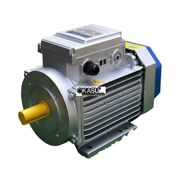 dong co motor dien 220v toan phat 2.2kw 1400v/phut  hinh 1