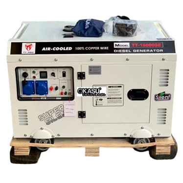 may phat dien chay dau 11kva tt pro tt-15000se hinh 1