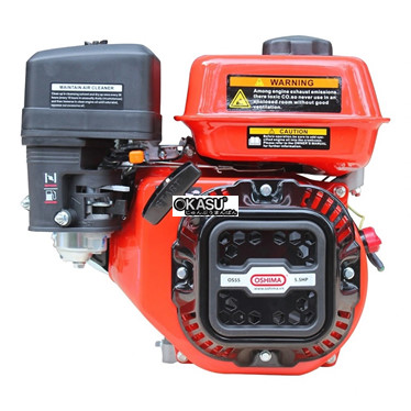 dong co no oshima do 4 thi 5.5hp os55  hinh 1