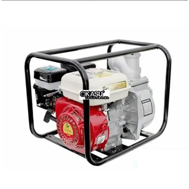 may bom nuoc chay xang 6.5hp dragon d30 hinh 1