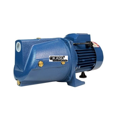 may bom nuoc chan khong lead 1000w mjsw/3cl hinh 1