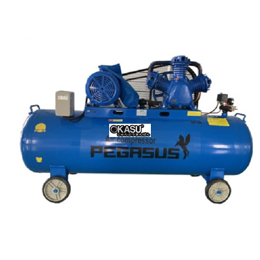 may nen khi day dai pegasus 10hp tm-w-0.9/8-330l hinh 1