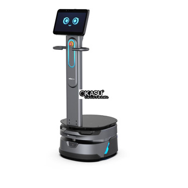 robot kho van carrybot 1 - d150 hinh 1