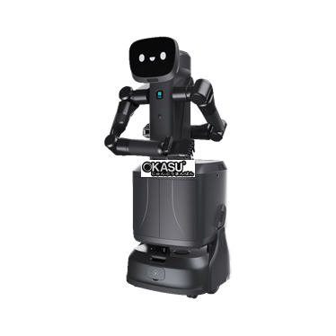 canh tay robot dich vu the he moi flashbot hinh 1