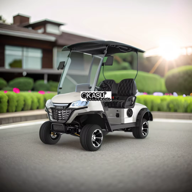 xe dien choi golf lgs021   hinh 1