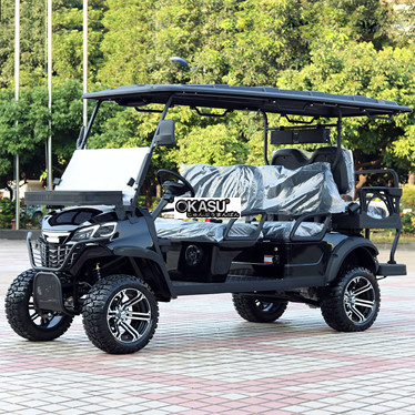 xe dien choi golf lqd041+2   hinh 1