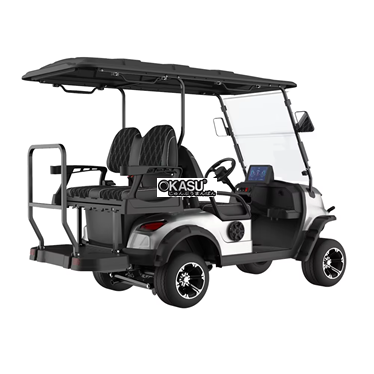 xe dien choi golf 4 cho ngoi, dong co ac 48v/72v 5kw lqs021+2   hinh 1
