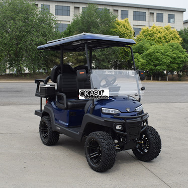xe golf da dung 4 cho ngoi z2c mau xanh hoang gia  hinh 1