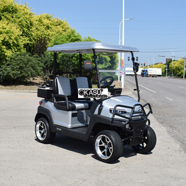 xe golf 2 cho ngoi z2 mau bac  hinh 1