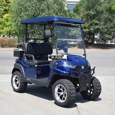 xe golf mini 2 cho ngoi r2 mau xanh hoang gia  hinh 1