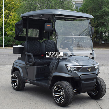 xe golf 2 cho ngoi e2 mau xam hinh 1