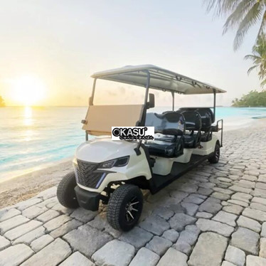 xe dien san golf 8 cho eagle eg206eksz hinh 1