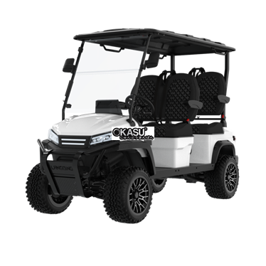 xe dien choi golf lqd045a  hinh 1