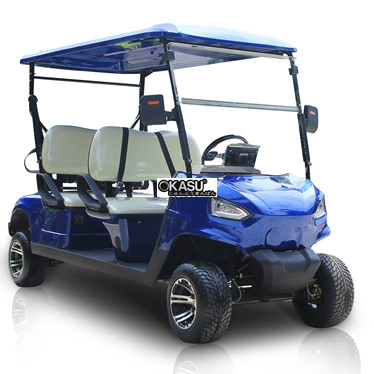 xe dien choi golf lqy041 hinh 1
