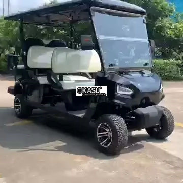 xe dien choi golf lqy061a hinh 1