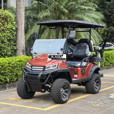 xe dien choi golf lqd022a+2   hinh 1